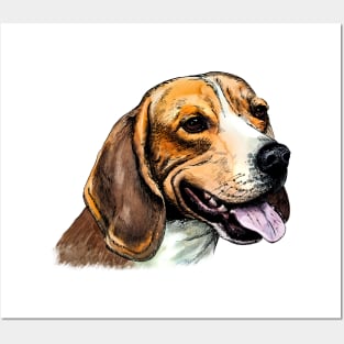 beagle Posters and Art